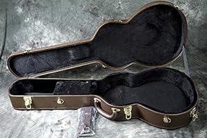 Amazon.co.jp: TAKAMINE HC-100 タカミネ純正ハードケース